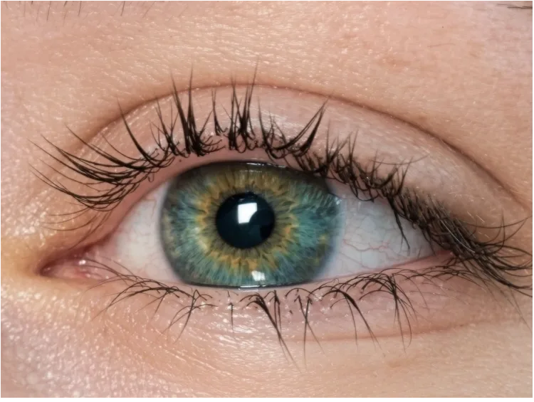 Testperson 07, Ausgangsfoto der Wimpern in Woche 0